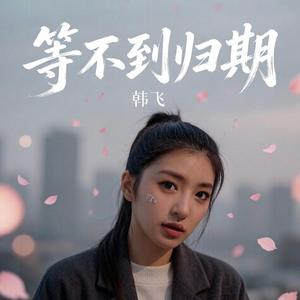 等不到归期 (（女版）)