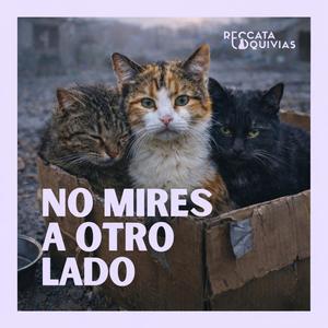 NO MIRES A OTRO LADO