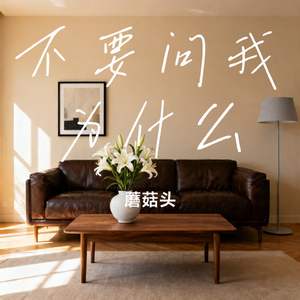 不要问我为什么