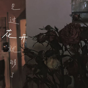 见过花开就够了