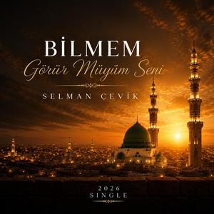 Bilmem Görür Müyüm Seni