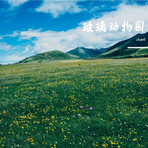 故事片