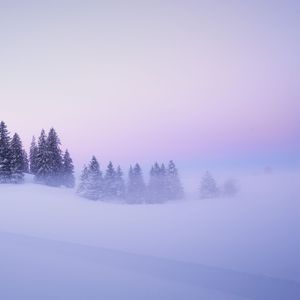 只剩下淡淡的思念