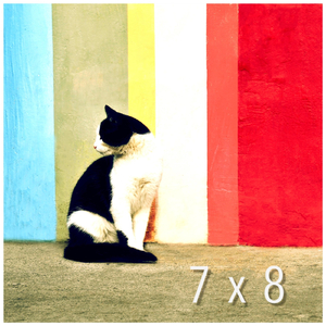 7x8