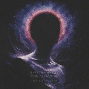 Entropy Halts, Void Reclaimed