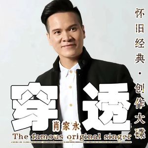 肖家永 - 穿透(暮染烟岚 ProgHouse Mix 粤语男)