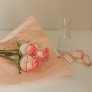 树下的等待 水兵舞 伴奏