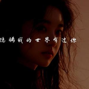隐瞒我的世界有过你