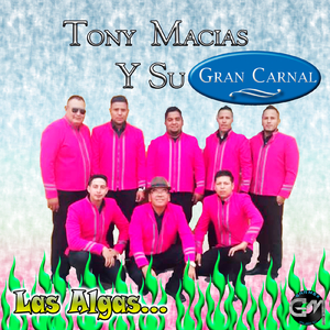Las Algas