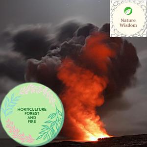 Winter Rain and Chirping Birds