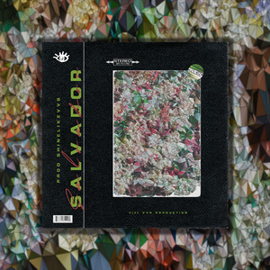 "Salvador"Lil Tecca Type Beat