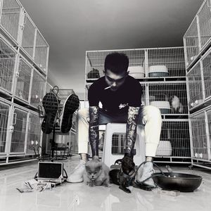 我采访了石家庄双臂虎