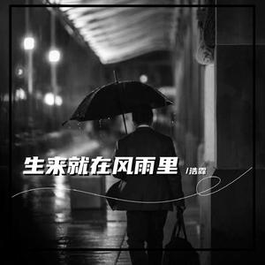 生来就在风雨里