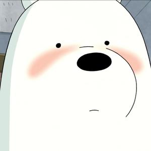 ice bear