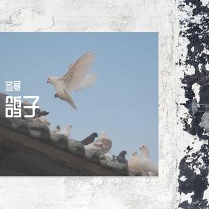 鸽子