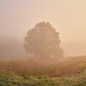 White Noise - 4kHz, Pt. 18