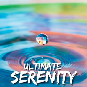 Harmony in Motion