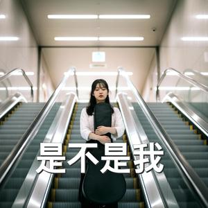 是不是我