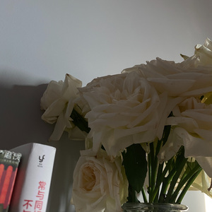 trim.6641162B-EE3C-4B9F-B6B6-54D05A6C1708