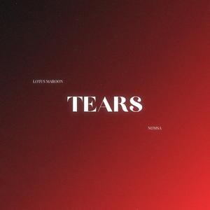 Tears (feat. Nomsa)
