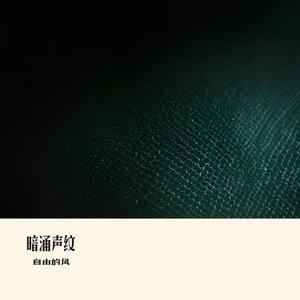 暗涌声纹