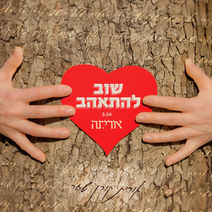 שוב להתאהב