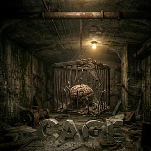 Cage