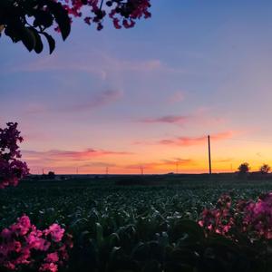 幻昼（卡林巴版）（翻自Shirfine）