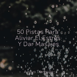 Mañanas Soleadas De Primavera