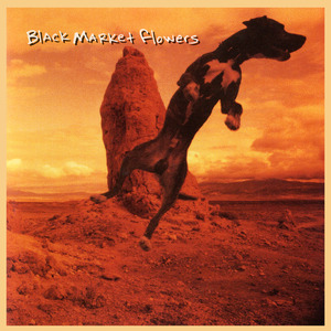 Sympathize (Remastered 2025)