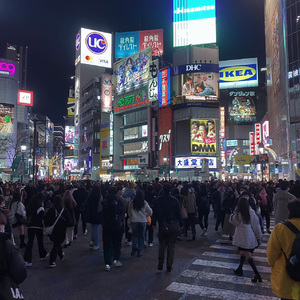 没有你的城市 (Without You)