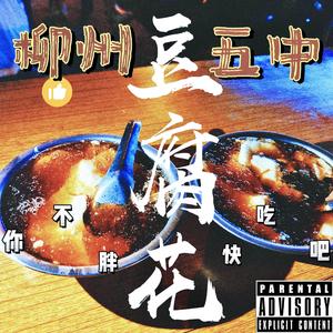 五中豆腐花（ALV Remix）