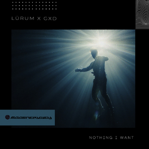 Nothing I Want (Extended Mix)