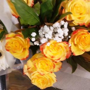 KRAKATOA WHOOP-WHOOP