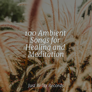 Echoes in Dusky Tones