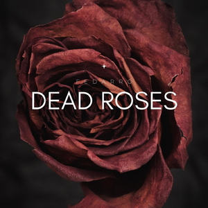 Dead Roses