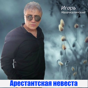 Проводница