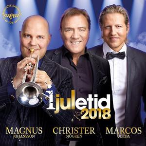 Christers Julpärlor (Julmedley): Din Dröm Ger Dig Allt / White Christmas / Have Yourself a Merry Little Christmas / Vackra Vintervärld / Bella Notte