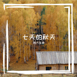 看窗外阳光下 伴奏