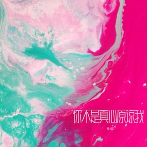 你不是真心原谅我