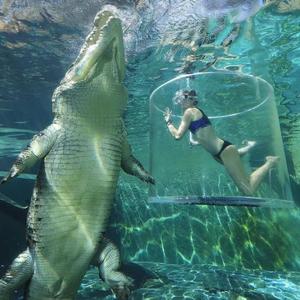 奥利给-我热情如火你冰冻成河（宇sir remix）