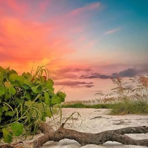 가죽같은 가족 Swing Jazz