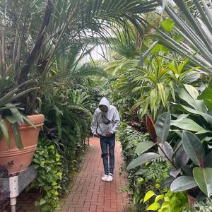 walk like dis (feat. lazymax)