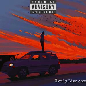 可我的人生是旷野