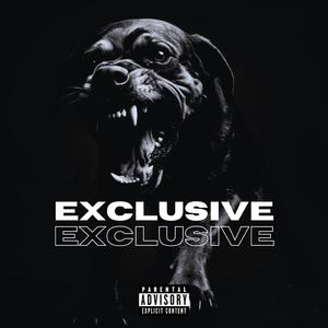 EXCLUSIVE