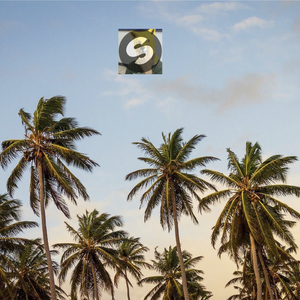 Hemp Palm