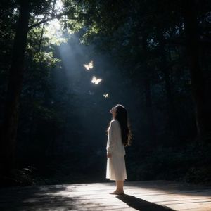 迷幻旋律 (顶级旋律)