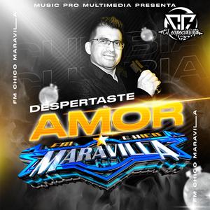 Despertaste amor