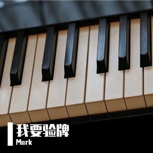 Passat-Mark -我要验牌（Mark remix）