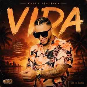Vida